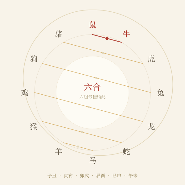 十二生肖六合配对环